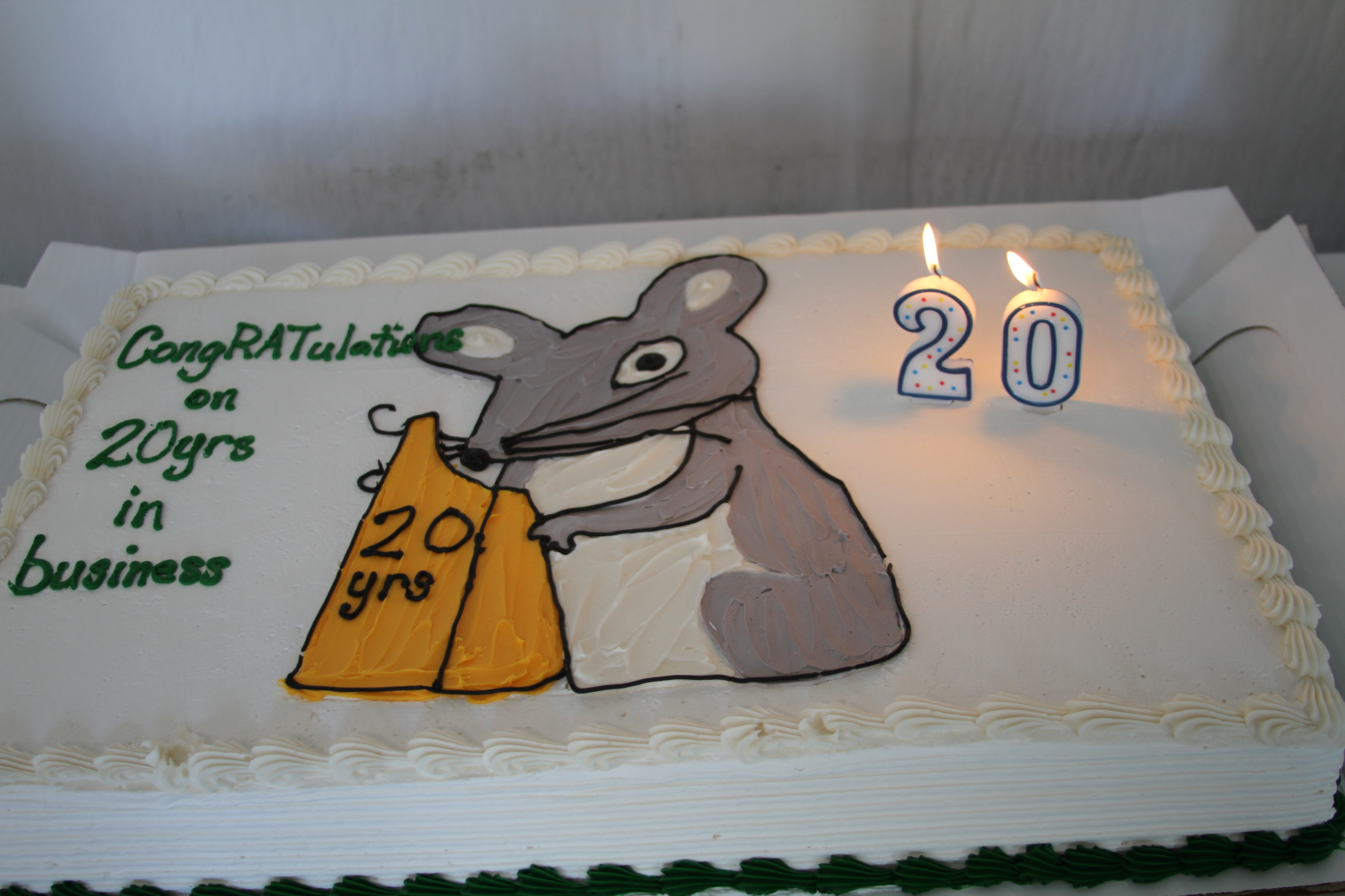 20 Year Anniversary