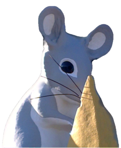 Mouse